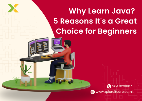 Why Learn Java? 5 Reasons It's a Great Choice for Beginners