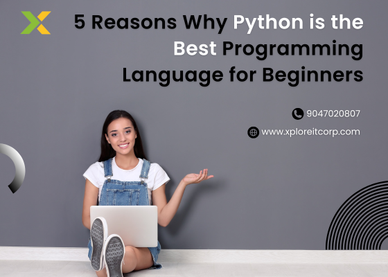 5 Reasons Why Python is the Best Programming Language for Beginners: