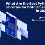 python libraries for data science