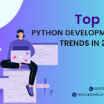 Top 10 Python Development Trends in 2024