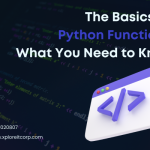 Basics of Python Functions