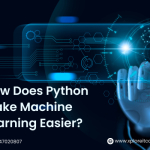 How Does Python Make Machine Learning Easier